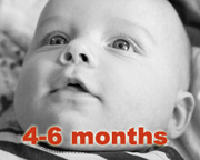 4-6 months